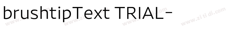 brushtipText TRIAL字体转换